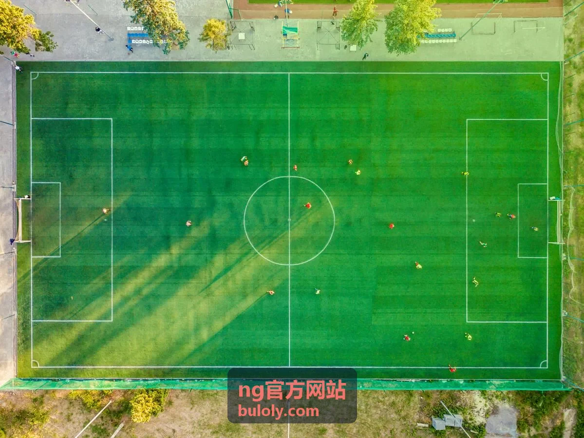 ng官方网站平台功能说明栏目卡片