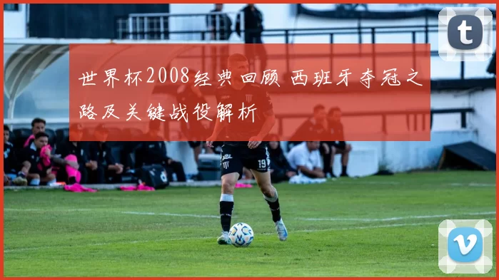 世界杯2008经典回顾 西班牙夺冠之路及关键战役解析