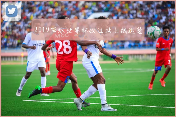 2019篮球世界杯投注站上线运营
